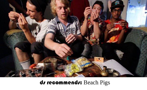 DS Featured Imagebeach pigs