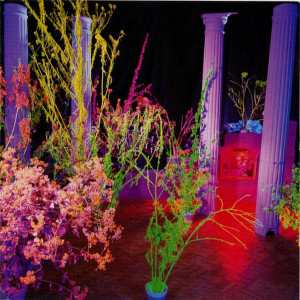 Husker-Du-Warehouse-Songs-and-Stories-Front