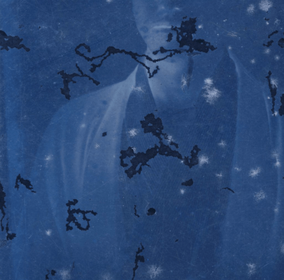 Screen Shot 2017-08-29 at 10.19.22 am