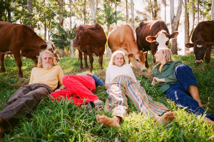 56815905_2167121353403161_4921670923624382464_o