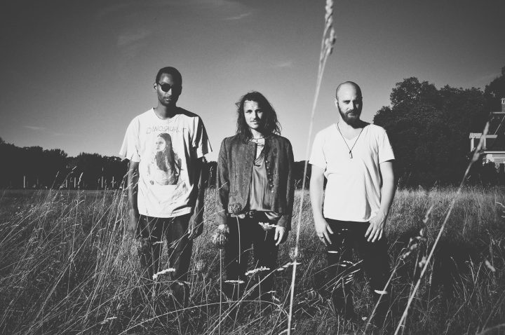 16602504_1239455336131207_7649632112674574712_o